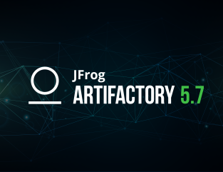 Repository Frog From the Frog's mouth - JFrog Blog